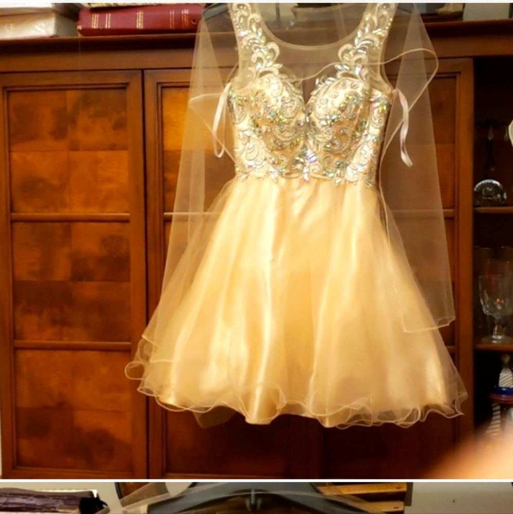 Dancing Queen Formal Sequin Rhinestone Applique Sleeveless Mini Dress Size XS